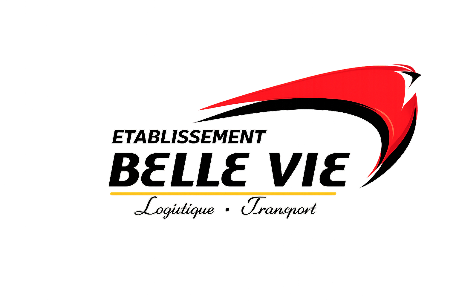 Belle Vie Logistique